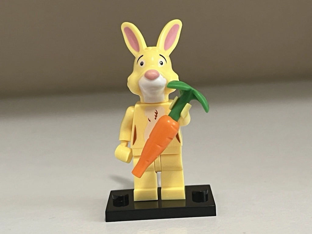 Winnie the Pooh Rabbit Minifigure Custom Printed